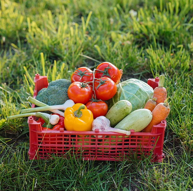 Wendell Berry said it best when he said that “eating is an agricultural act.” Our mission is to change the food system by providing a healthy, fresh alternative to industrial food.